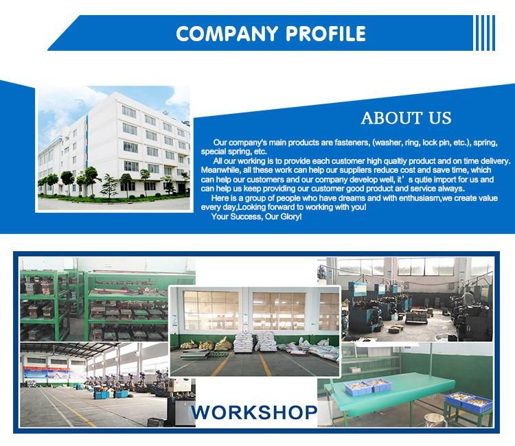 Customized Spring Wave Spring Compressed Spring