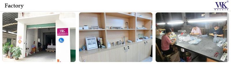 Stainless Steel 304 & 316 Glass Clamp for Handrail Fittings (GC-001)
