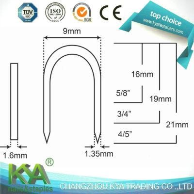 Galvanized Pneumatic Staple (BCS31P) as Joiners