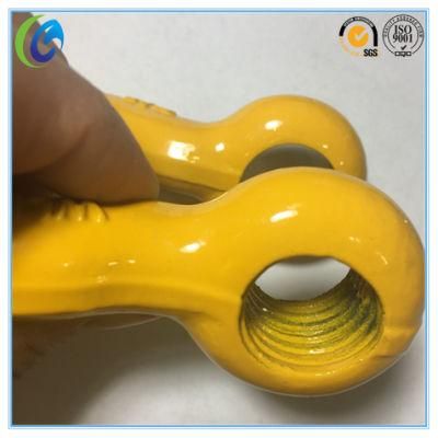 U. S Type Screw Pin Powder Plastic Shackle