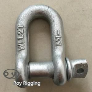Us Type D Shape Anchor Shackle with Screw Pin
