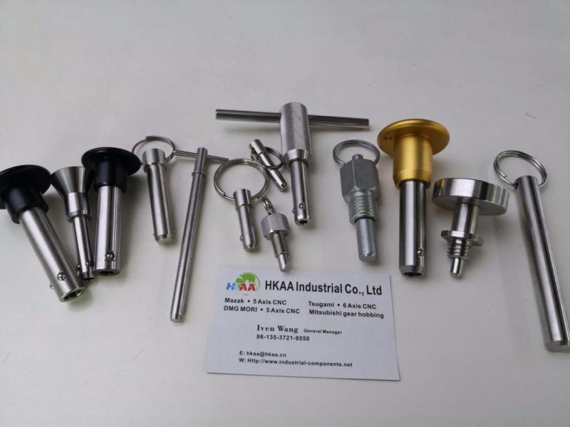 Stainless Steel Ball Spring Loaded Plunger