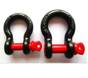 Long D Shackle and Bow Shackle with Screw Pin or with Bolt Pin Bolt and Nut Shackle