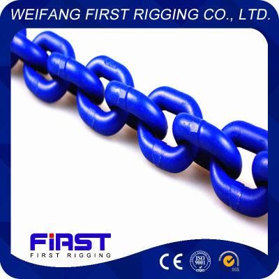 Hot Sale Ce Approved Customized Load Chain Sling with 2 Hooks