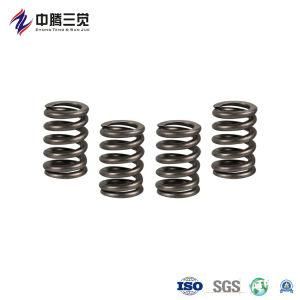 Custom Sizes Petrol Engine Coil Spiral Valve Spring / Valve Springs