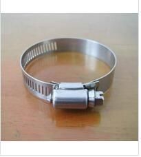 Zhejiang Galvanized Iron White Colour American Type Hose Clamp