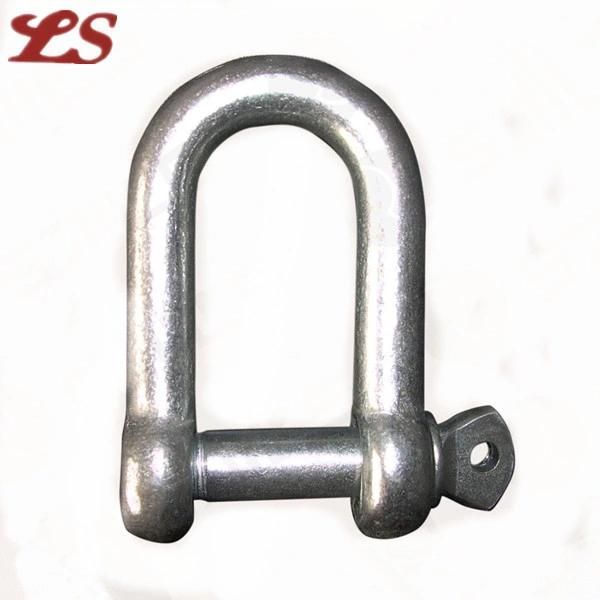 European Type Large Dee Shackle