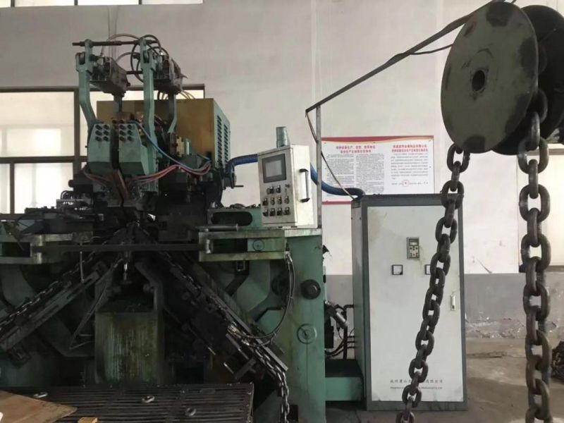 G70 5/16" Tow Binder Chain with 2" D-Ring 10000 Lbs and Grab Hook