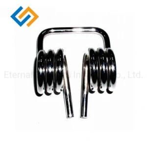 China Factory Supply Different Sharp Black Paint Torsion Springs