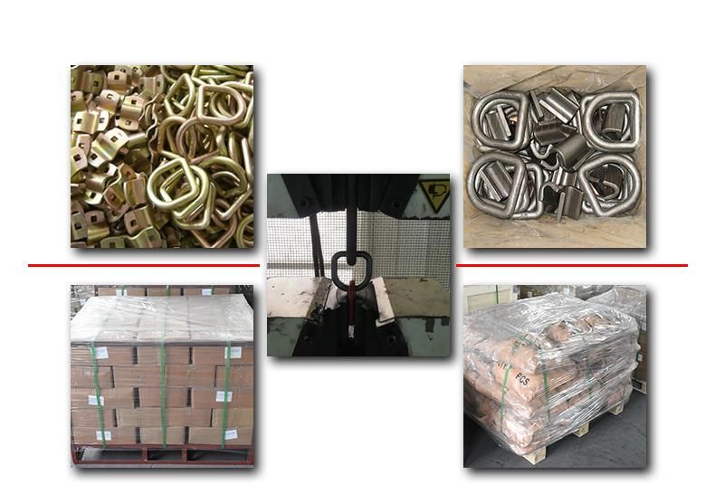 Forged Steel Lashing D Ring with Clamp