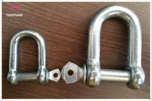 European Large Dee Shackle Anchor Shackle