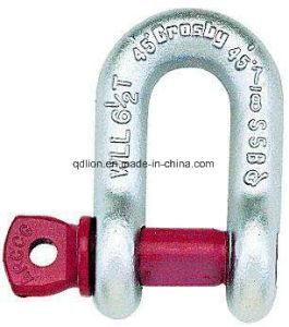 Screw Pin Chain Shackles