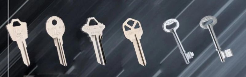 Popular Brass or Zinc Alloy Fashion Blank Keys for Locks