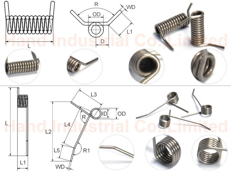 Stainless Steel 316 Torsion Springs with Inches Size