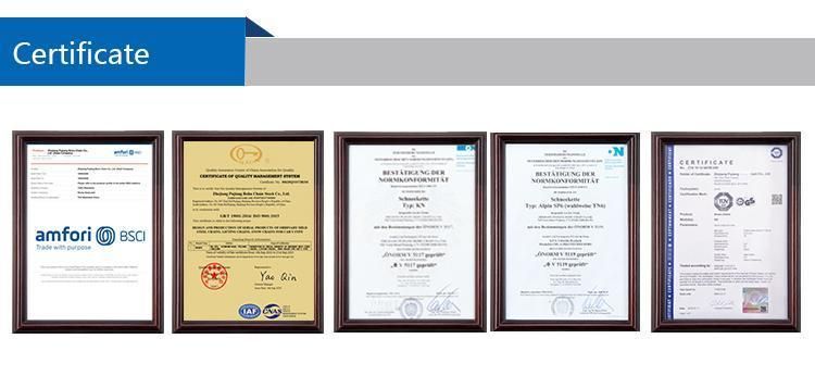 Professional Manufacturer of High Strength Nacm90 Standard G30 Chain