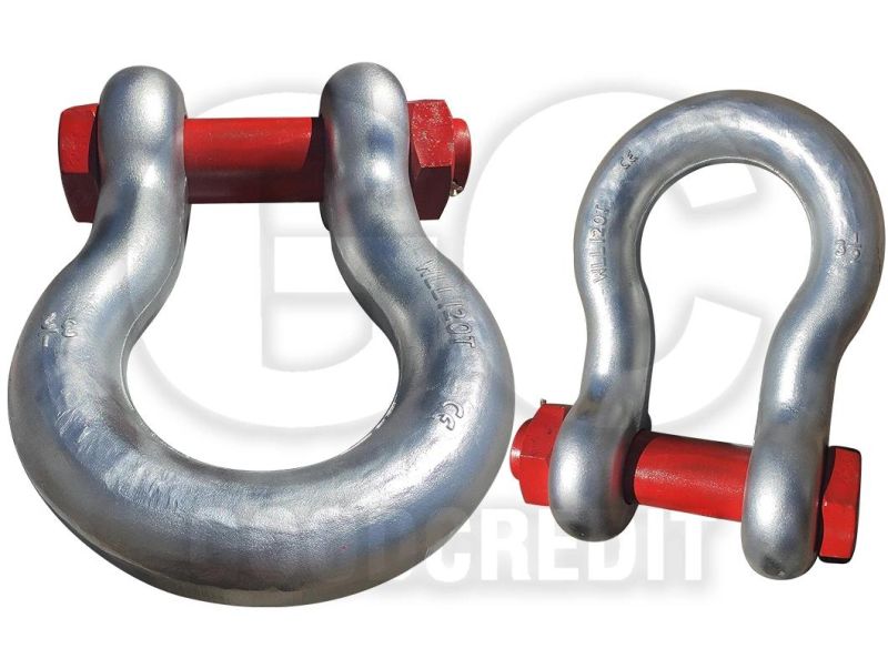 Wholesale Hardware Rigging Electro Galvanized U Shaped Shackle Us Type Steel Drop Forged Screw Pin D Anchor Shackle