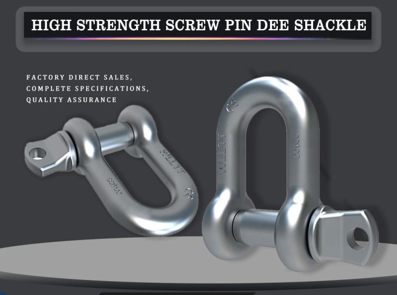 Hot DIP Galvanized G2150/2130 Safety Bolt Dee Shackle