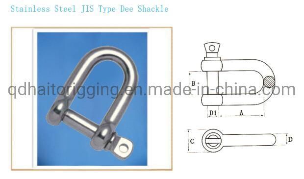 Durable AISI304 Dee Shackle with Factory Marine Sale