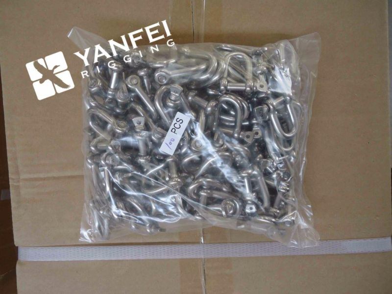 Stainless Steel European Type D Shackle