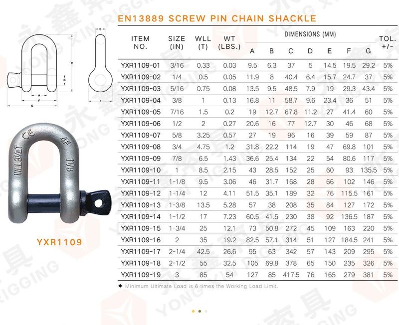 Marine Hardware Electric Galvanized Us Type Carbon Steel Drop Forged Screw Pin D Shackle