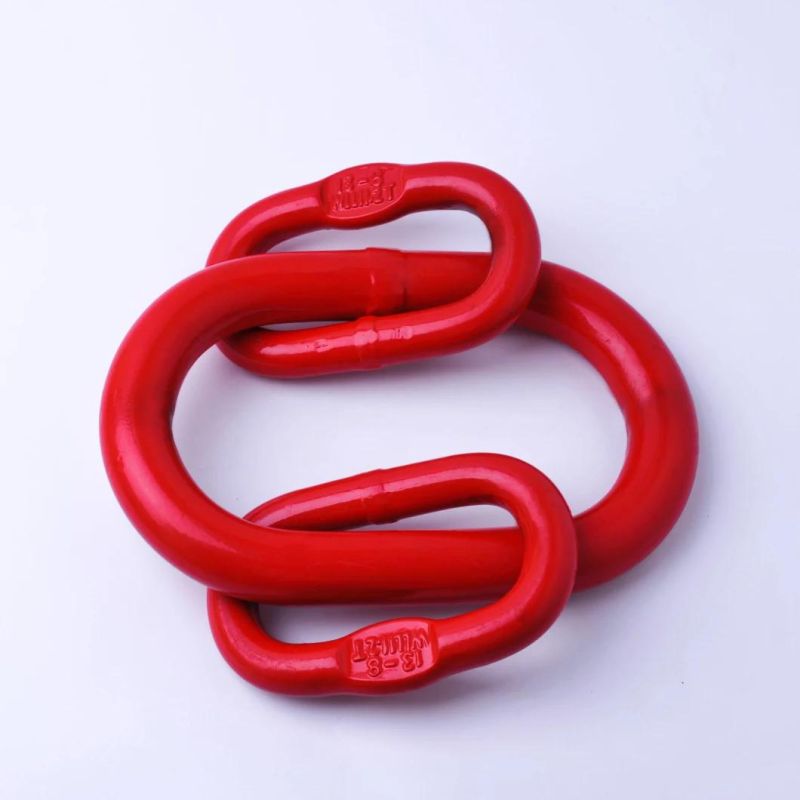 G80 Lifting Eye Slip Hook with Safety Latch