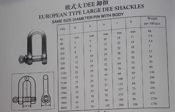 Large Dee Screw Pin Shackle Chain Shackle Straight Shackle Galvanized