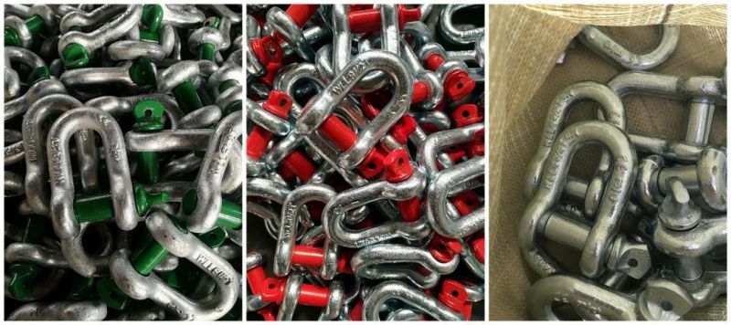 U. S. Type Forged Screw Pin Chain Shackle G210