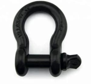 Customized Size SS304 and Ss 316 Screw Pin Anchor Shackles with or Without Collar