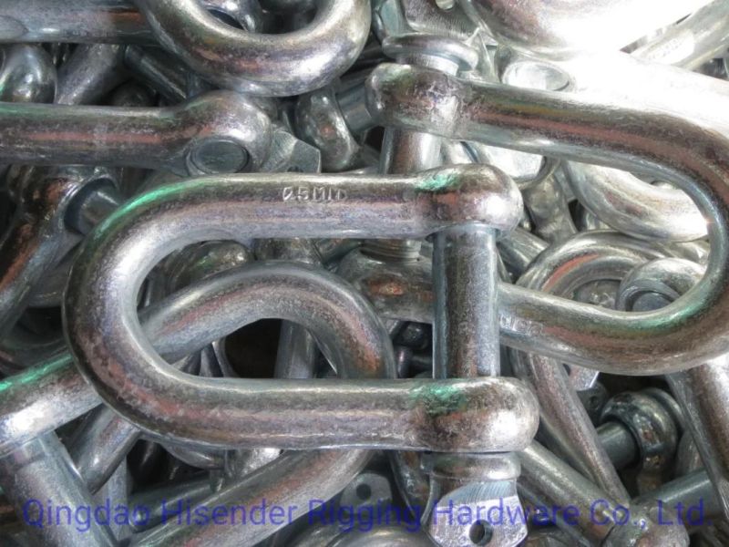 Shackle, D Type, Ss316 and Galvanized Type, European D Type, JIS D Type, Rigging Hardware, Marine Hardware