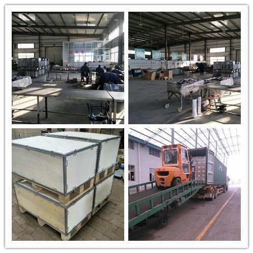 Customized Various Types Metal Compression Springs