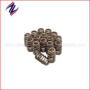 Customized Mechanical Flat Tappet Valve Springs-Competition Products