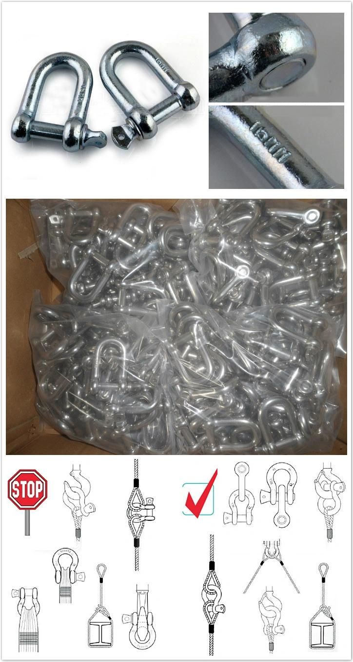 Factory Supplies Types of Galvanized D Shackle, Forged Us D Type G210, G2130, G2150, Carbon Steel and Stainless Steel