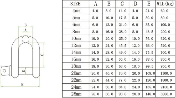 304 316 Stainless Steel JIS Type D Shackles Chain Shackles