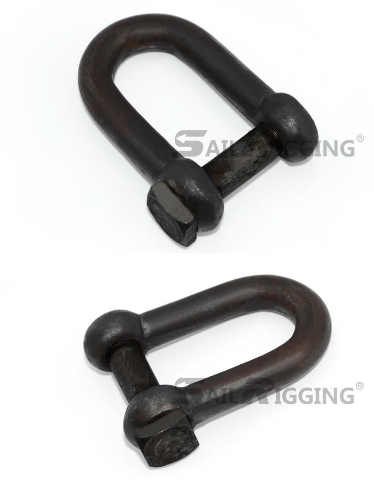 Trawling Shackles with Square Head Screw Pin