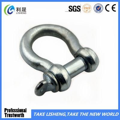 European Type Screw Pin Shackle