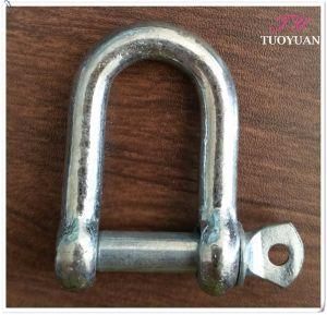 Galvanized European Type Large Dee Shackle