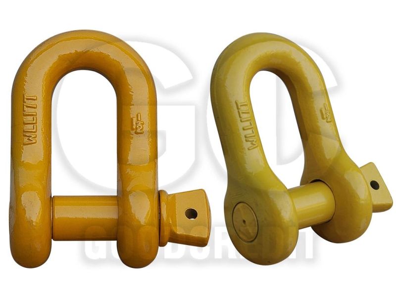 Wholesale Screw Pin Forged European Type D Shackle for Boat/Yacht/Ship Price Boat Accessories