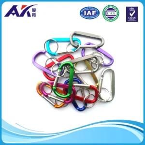 Aluminum Carabiner with Key Chain