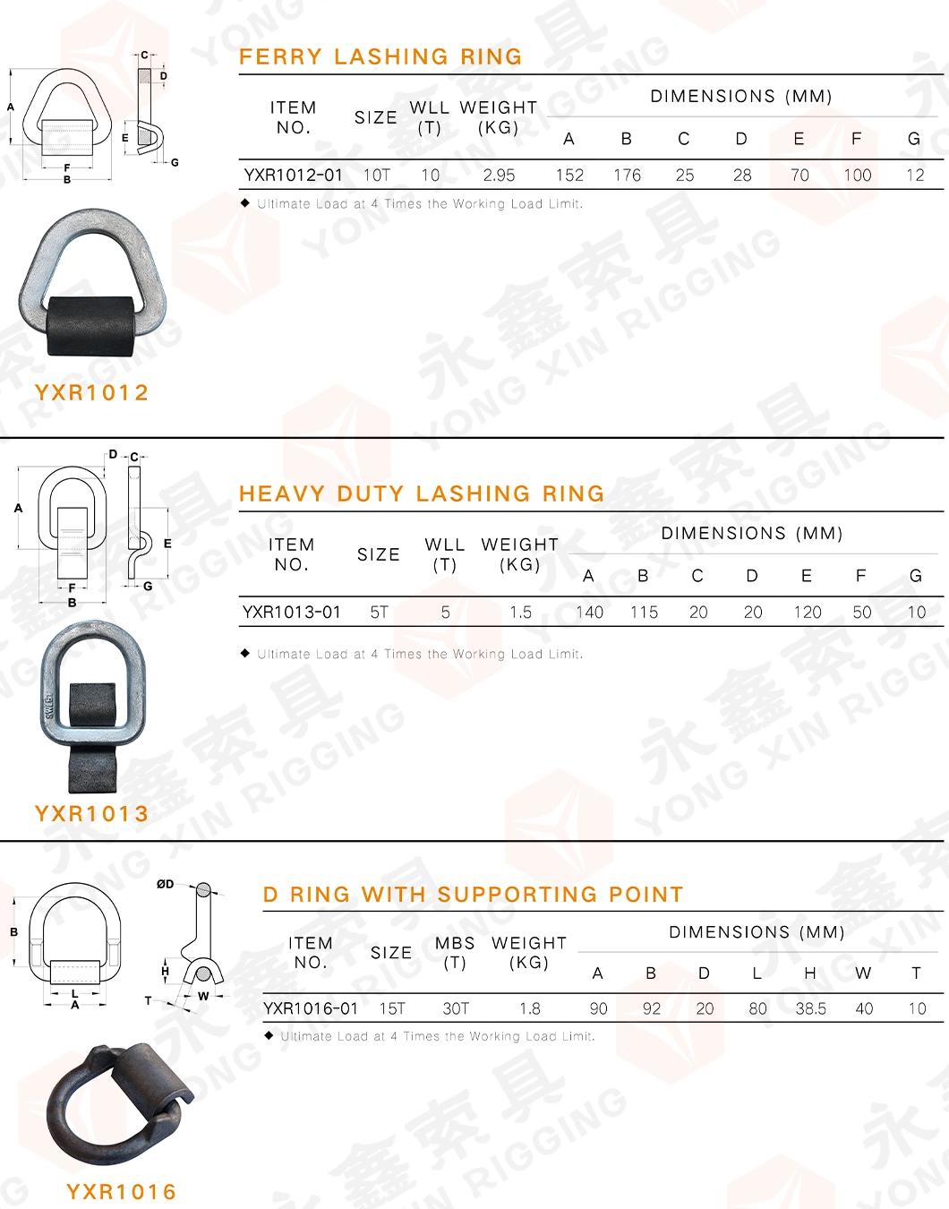 Hot Sale Lashing D Ring with Supporting Point|Customized D Ring