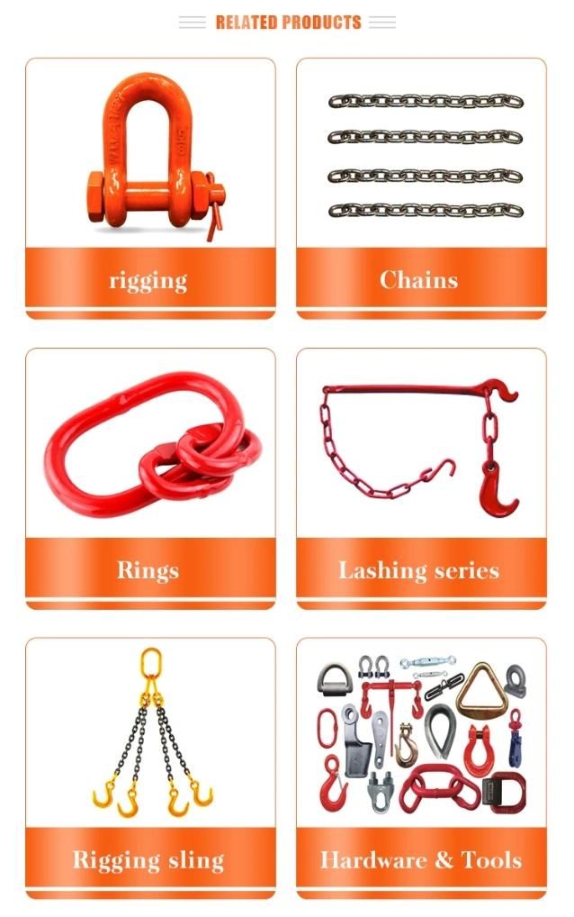 China Factory of Rigging Series (shackle/eye hook/clevis hook) with Best Quality