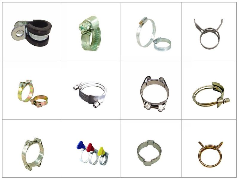 All Stainless Steel SS316 W5 Band Width 9.7mm 11.7mm B Type Hose Clamps