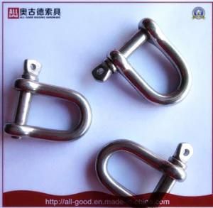 Stainless Steel European Type Larged D Shackle