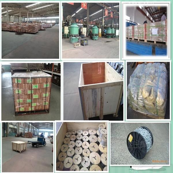 European Type Galvanized Wire Rope Thimble