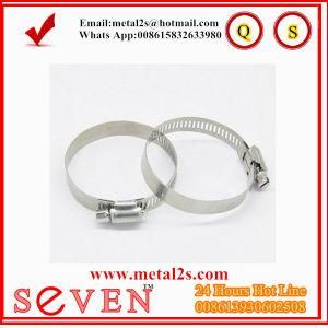 Galvanized Steel Hose Clamp