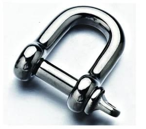 Stainless Steel D Shackle