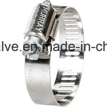 Custom Special American Hose Clamp