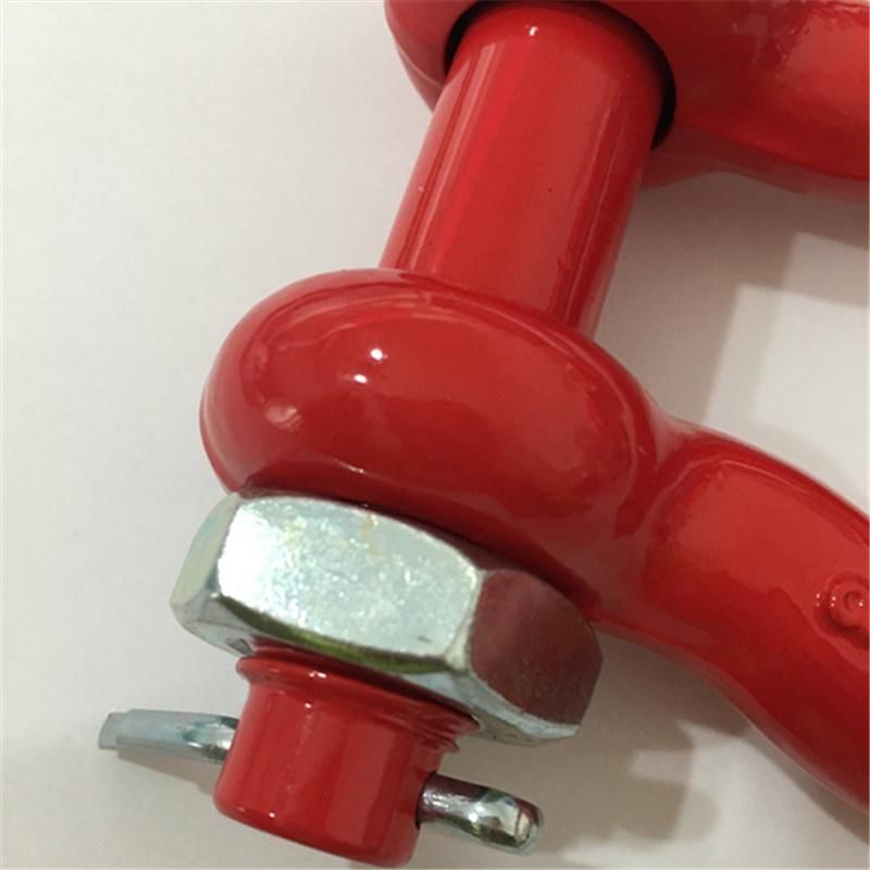 Powder Plastified Forged G2130 Shackle