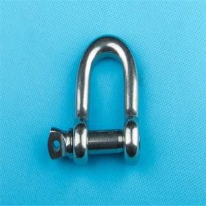 Stainless Steel Screw Pin D Shackle