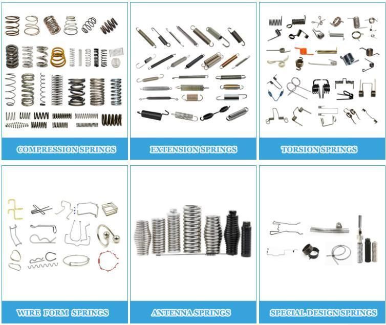 Torsion Spring Double Torsion Spring