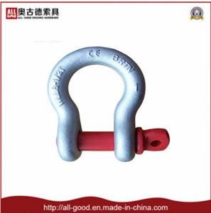 Hot Gal Carbon Steel Bow Shackle with Color Screw Pin